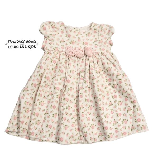 Janie & Jack 3-6m Pink Rosebud Floral Corduroy Dress